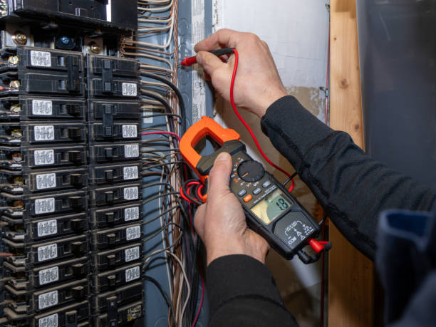 Best Local Electrician Companies  in Rotonda, FL
